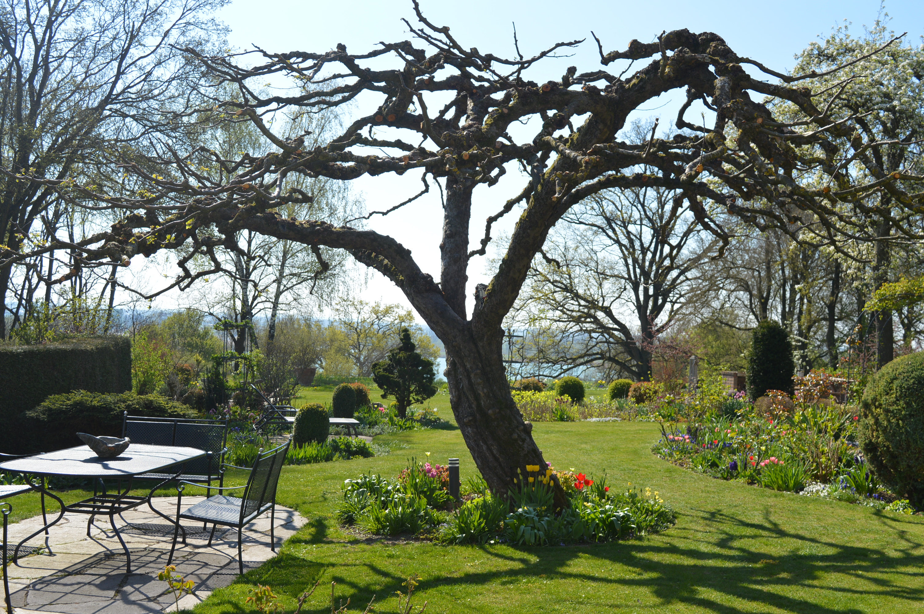 "Das Gärtnern ist meine Passion“DonauwörthDonauRiesAktuell